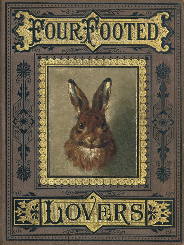 bumble button Darling Victorian Rabbits and Bunnies From Children's